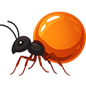 Honeypot Ants