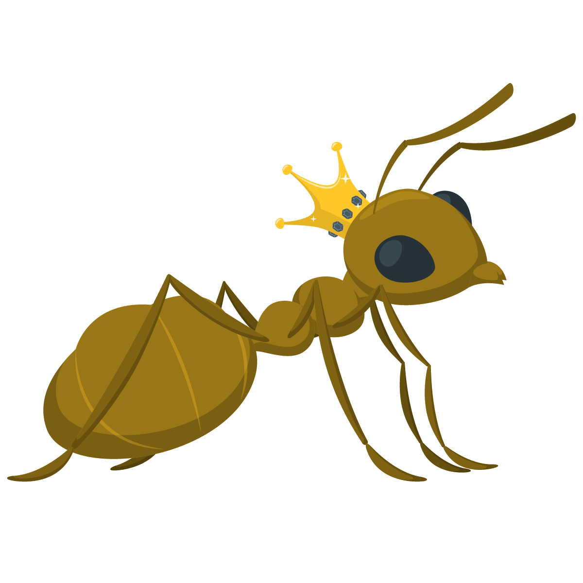 Honeypot Ants - Chuyên cung cấp kiến mật Queen tại Việt Nam
