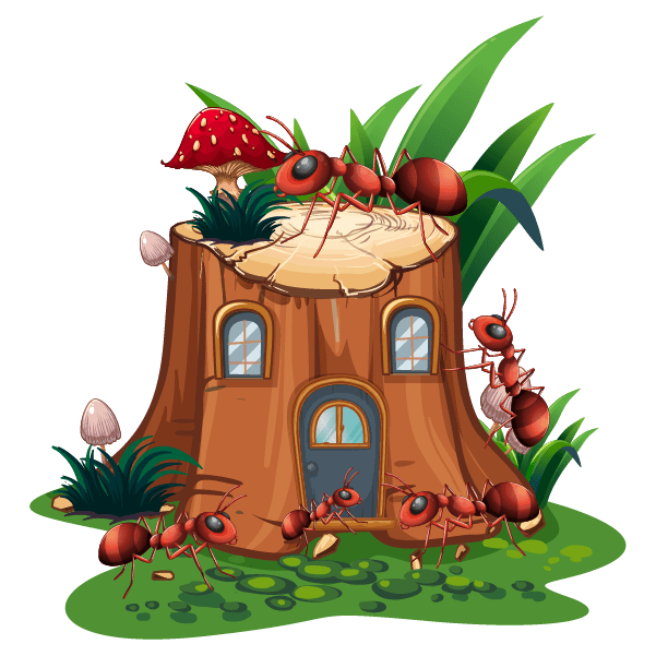 Tank kiến và phụ kiện cho Honeypot Ants